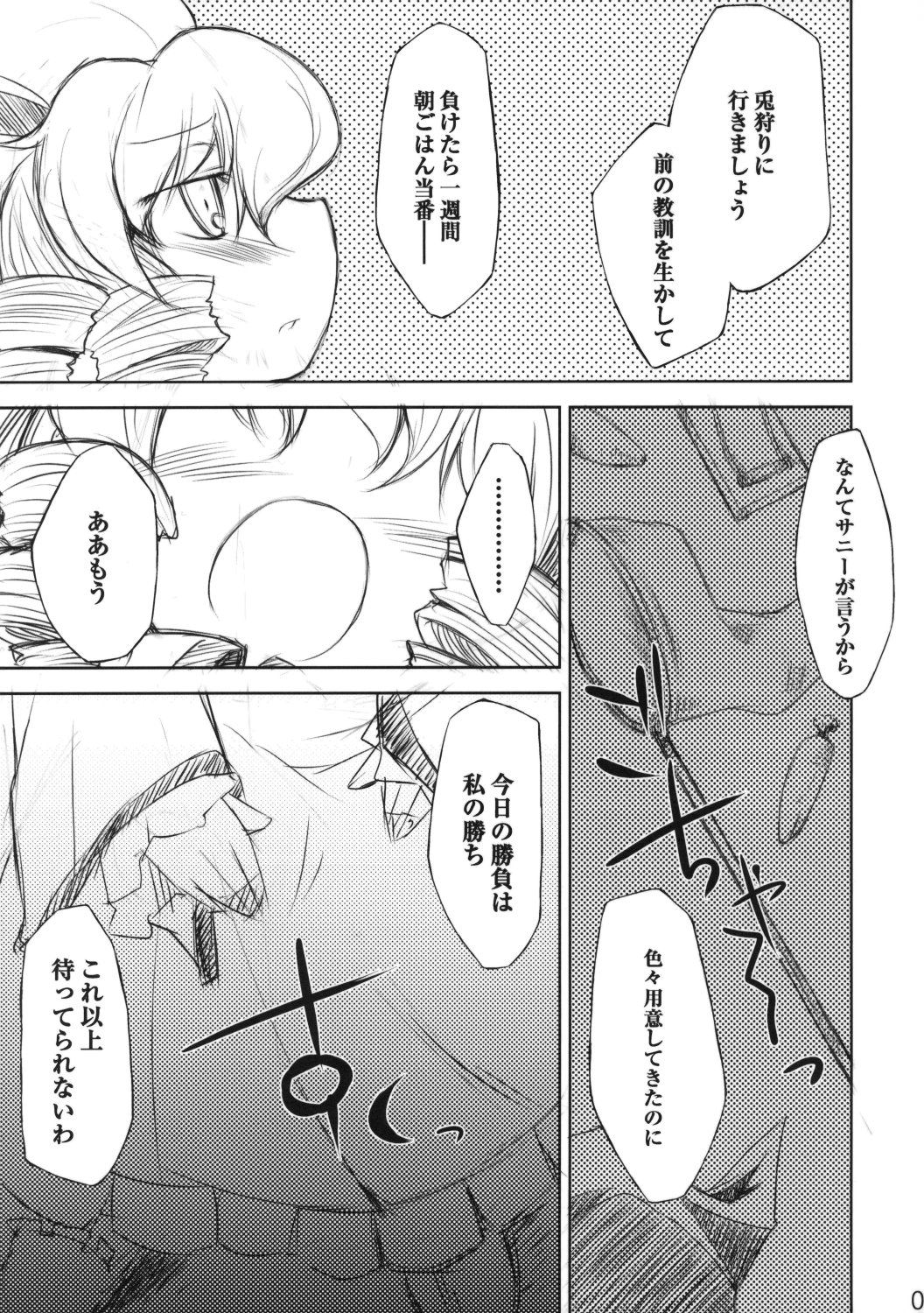 (例大祭5) [IncluDe (ふぅりすと)] BRIGHTNESS DARKNESS (東方Project)