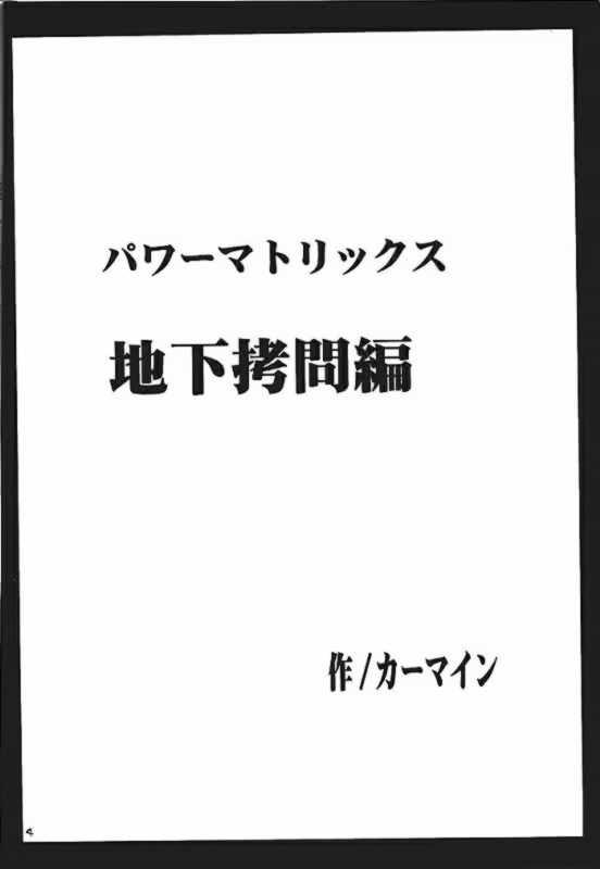 パワーマトリシクス