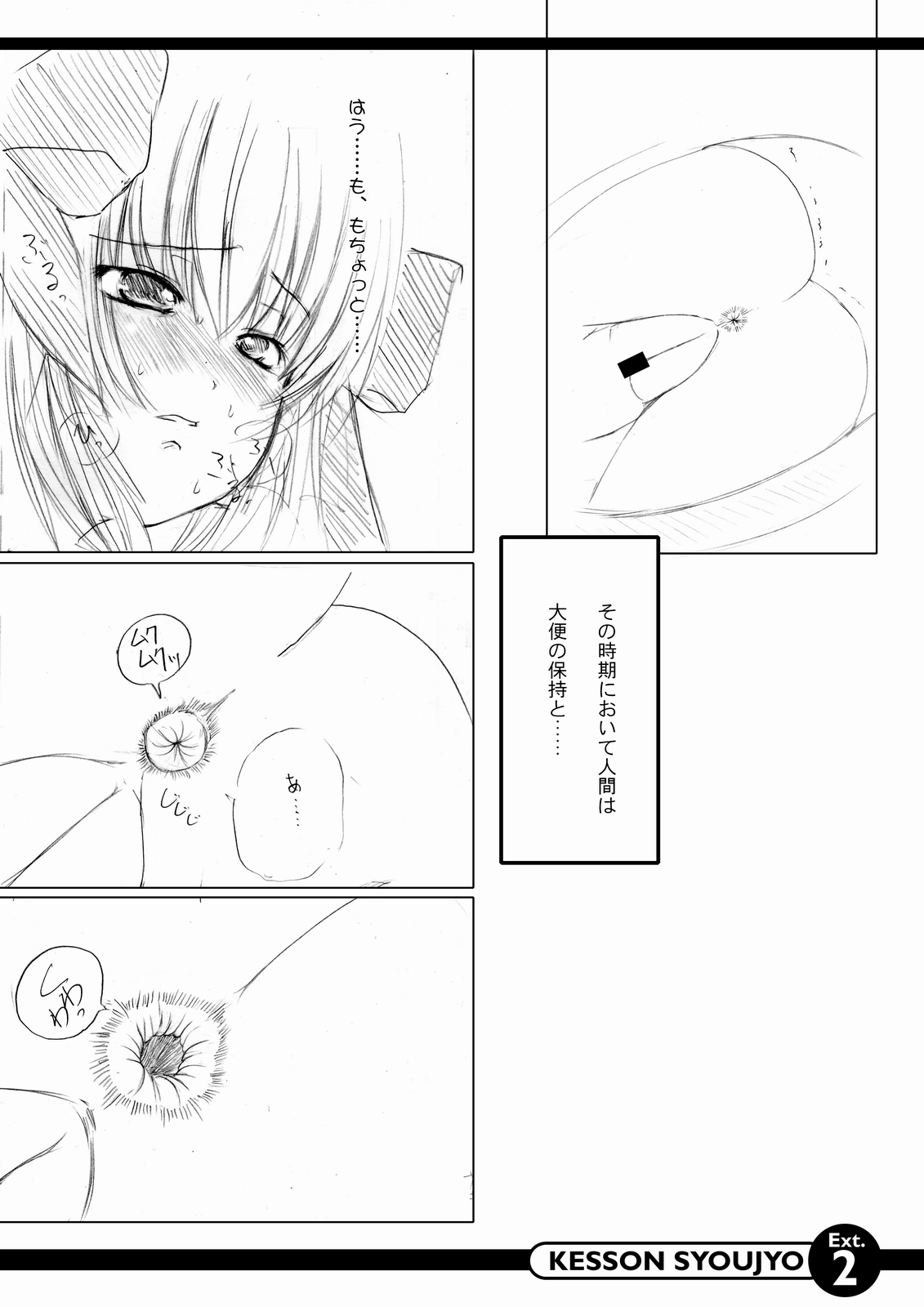 (C67) [欠損少女] extra.2 純粋淫性批判