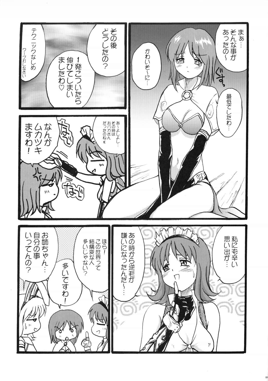 (C63) [あかひら麒麟 (あかひらきりん)] ごめ (ラグナロクオンライン)