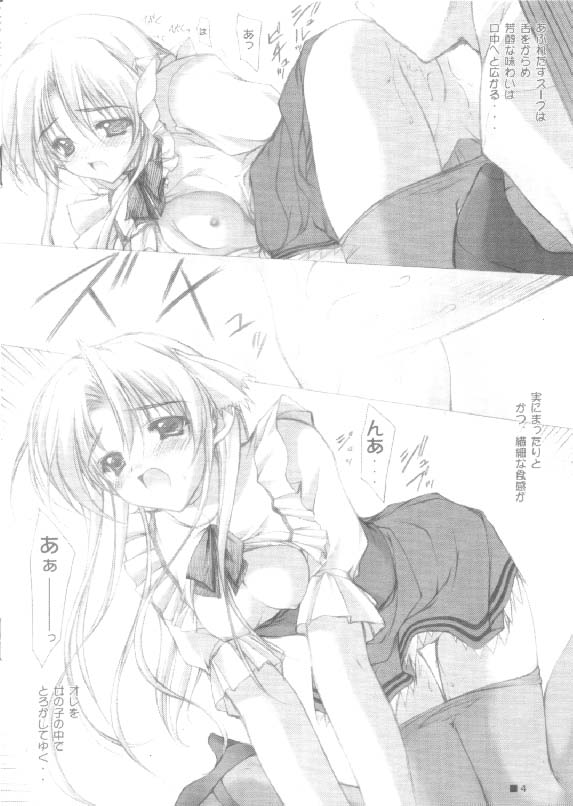 [ZiP] ブロンズパロットへようこそ