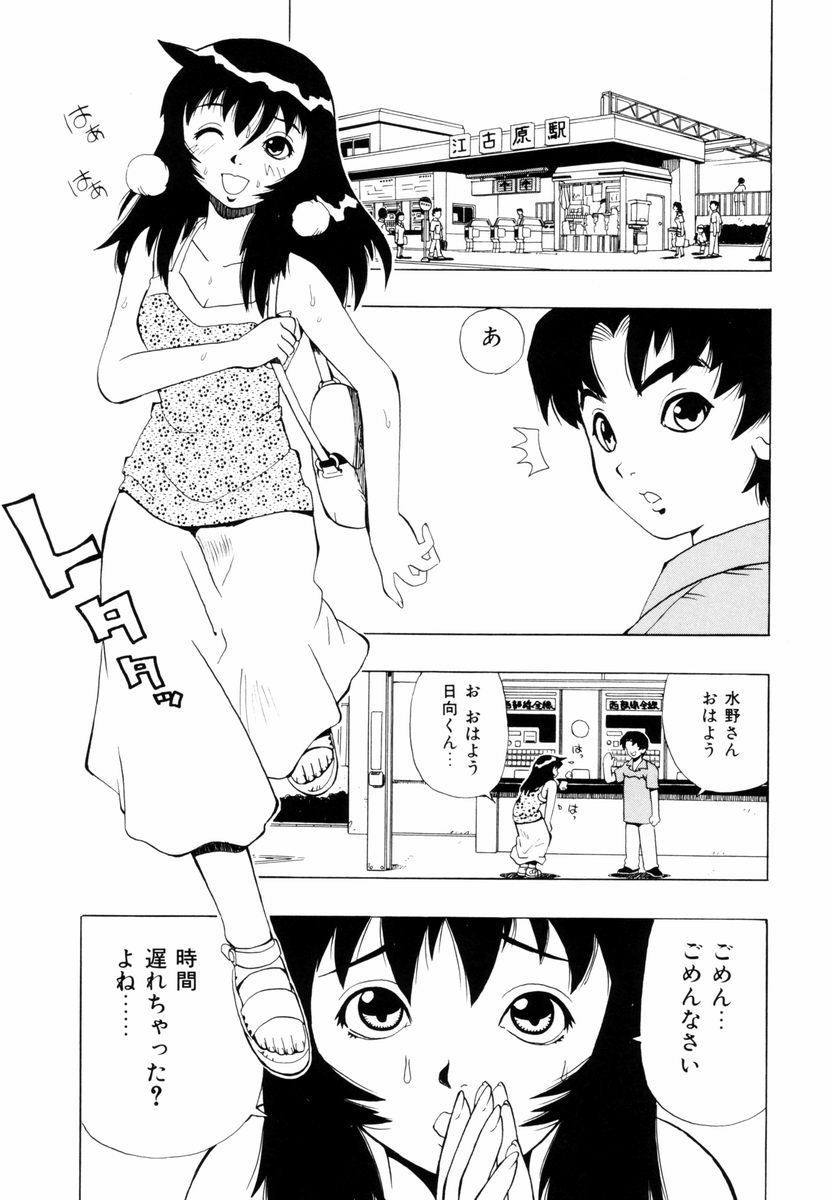 [ペニシリンXI] ひまわりのつぼみ