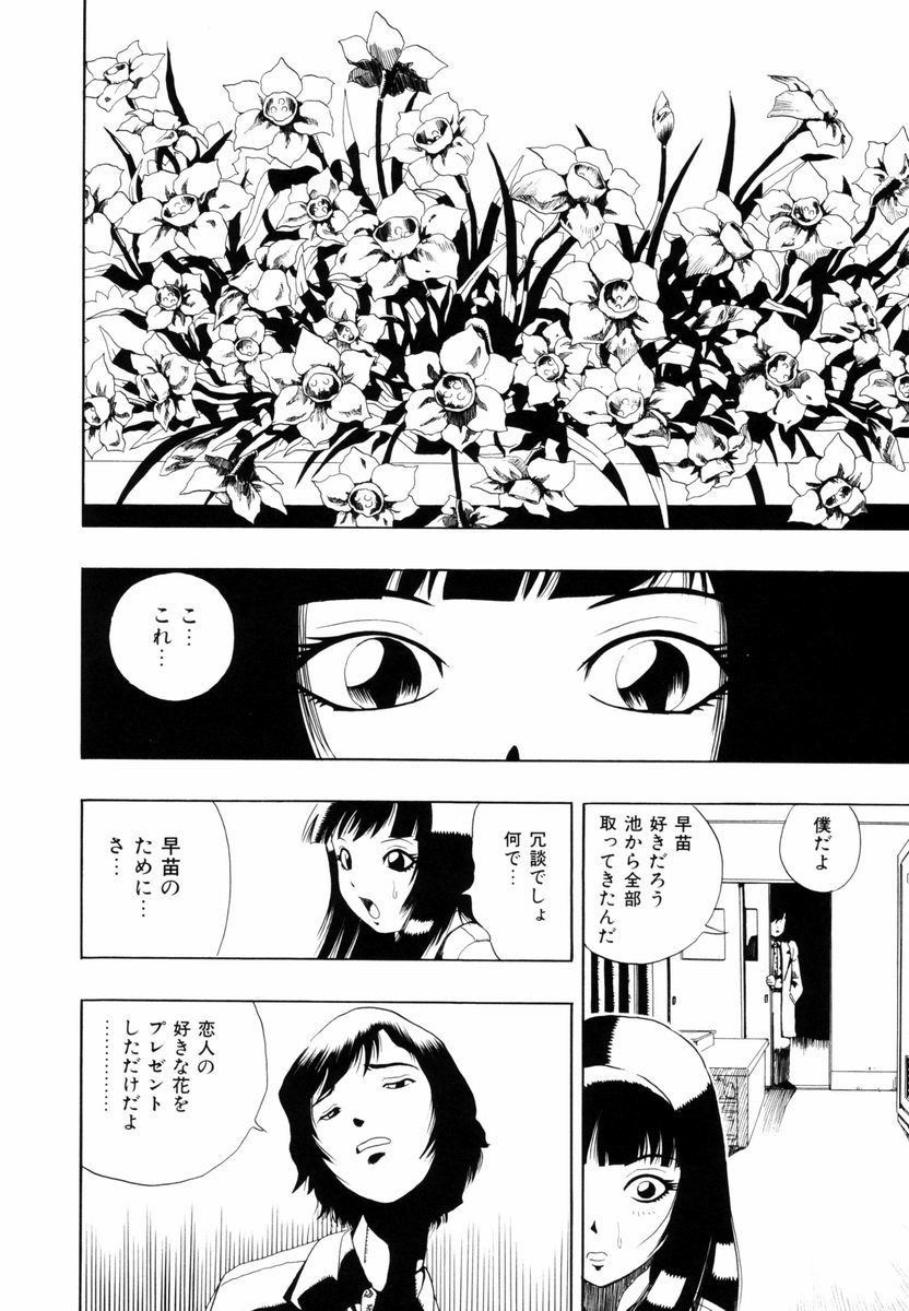 [ペニシリンXI] ひまわりのつぼみ