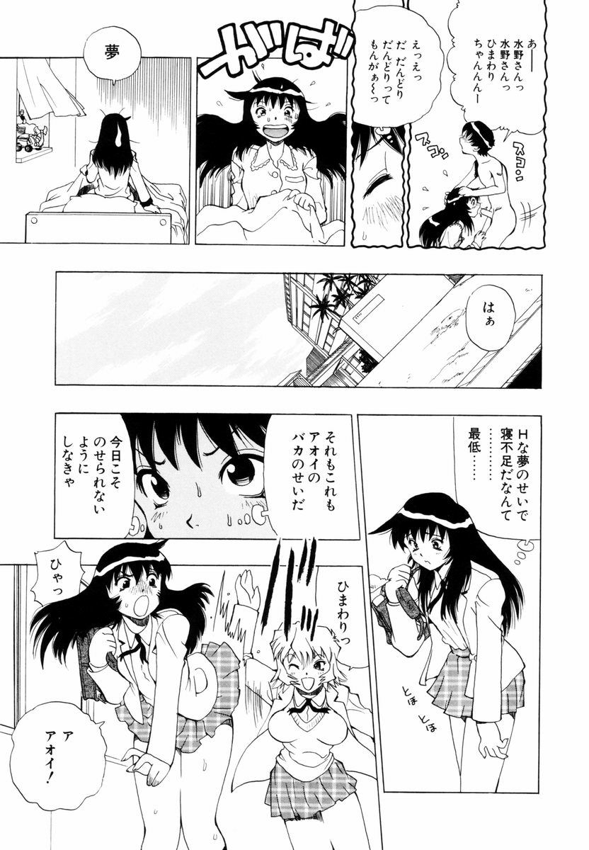 [ペニシリンXI] ひまわりのつぼみ