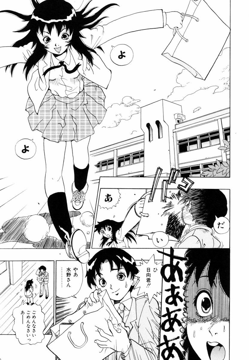 [ペニシリンXI] ひまわりのつぼみ