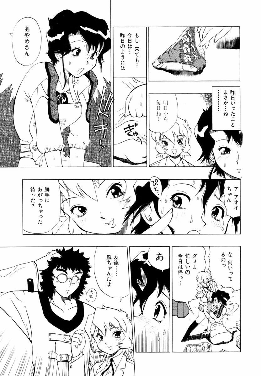 [ペニシリンXI] ひまわりのつぼみ