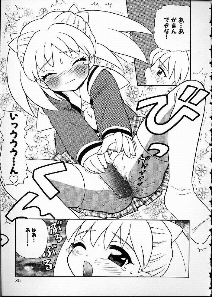 [なぎさわゆう] 花の実の熟するとき...