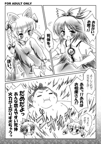 (サンクリ41) [54burger (まるごし)] コピー本 (東方Project)