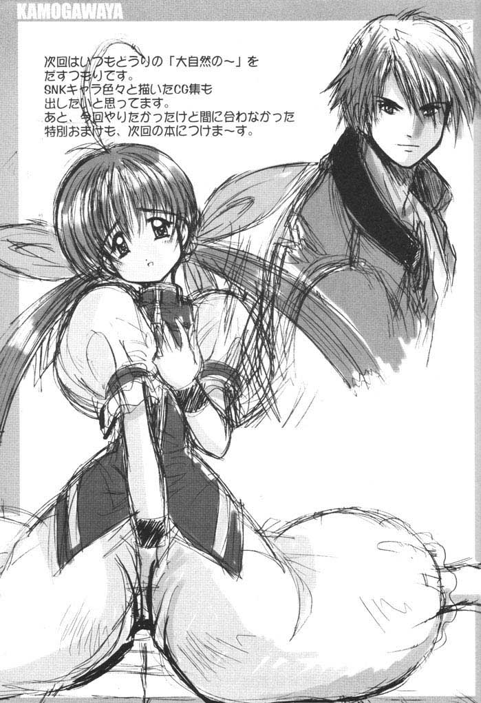 (C61) [鴨川屋 (鴨川たぬき)] お兄ちゃんごめんネ (餓狼伝説)
