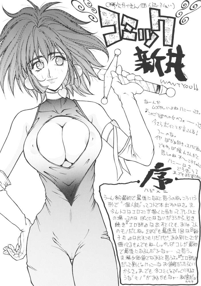[H&K (新井寿士)] コミック新井 DARKER THAN DARKNESS (美少女戦士セーラームーン)