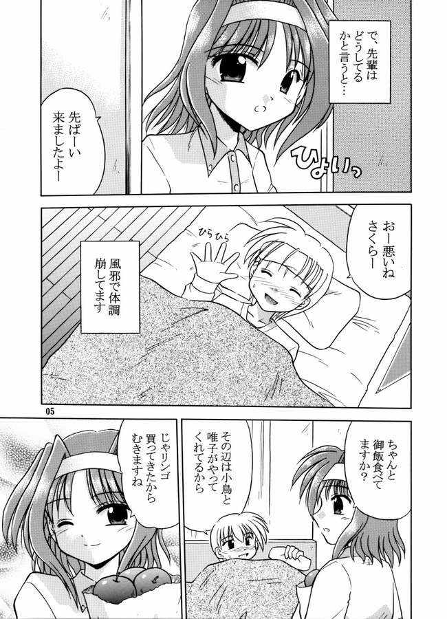 (C64) [Cool Palace (すずみやかずき)] 夏、風芽丘にて (とらいあんぐるハート)