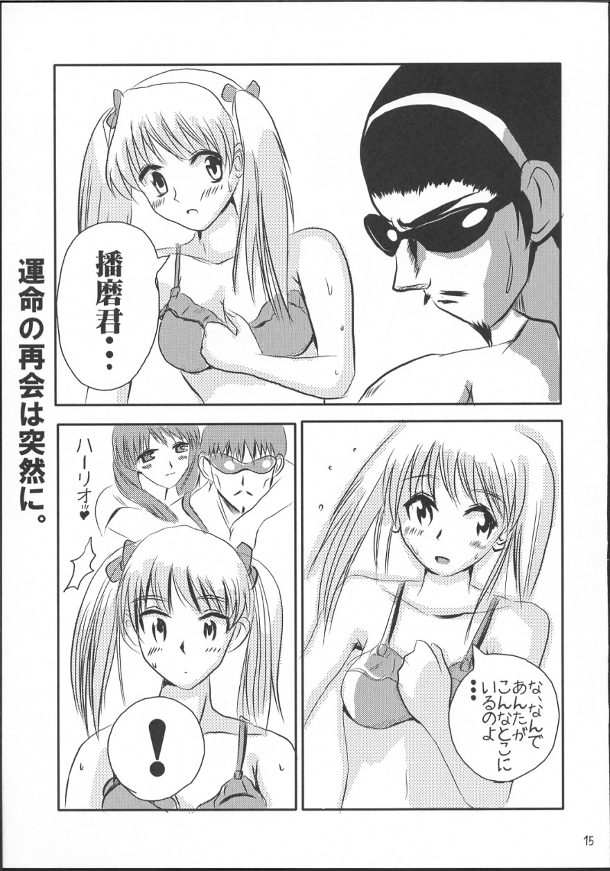 [かこひめのうつわ ] クールちゃんぷるー2 (スクールランブル)