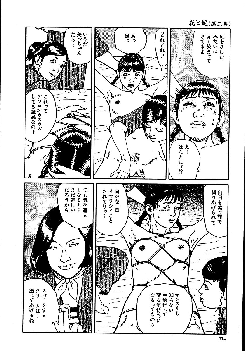 [団鬼六, 長田要] 花と蛇 第二集