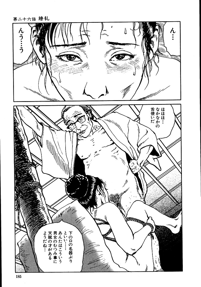 [団鬼六, 長田要] 花と蛇 第二集