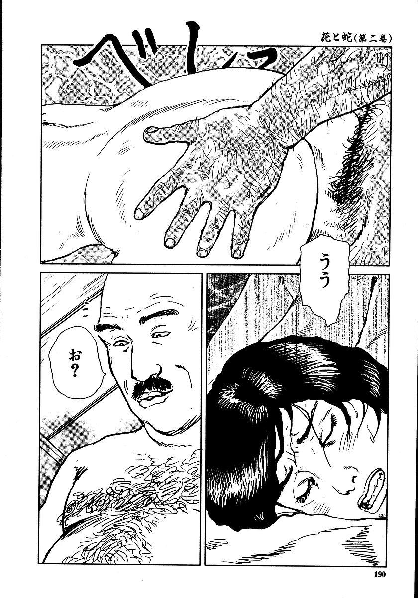 [団鬼六, 長田要] 花と蛇 第二集