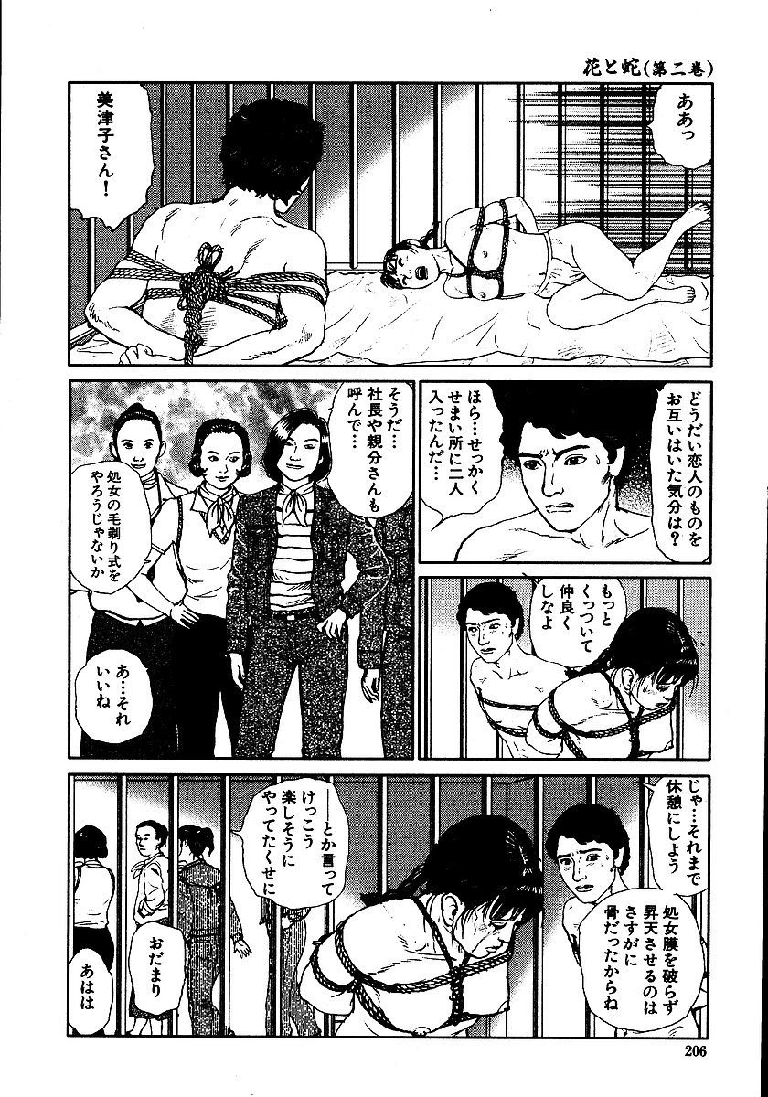 [団鬼六, 長田要] 花と蛇 第二集