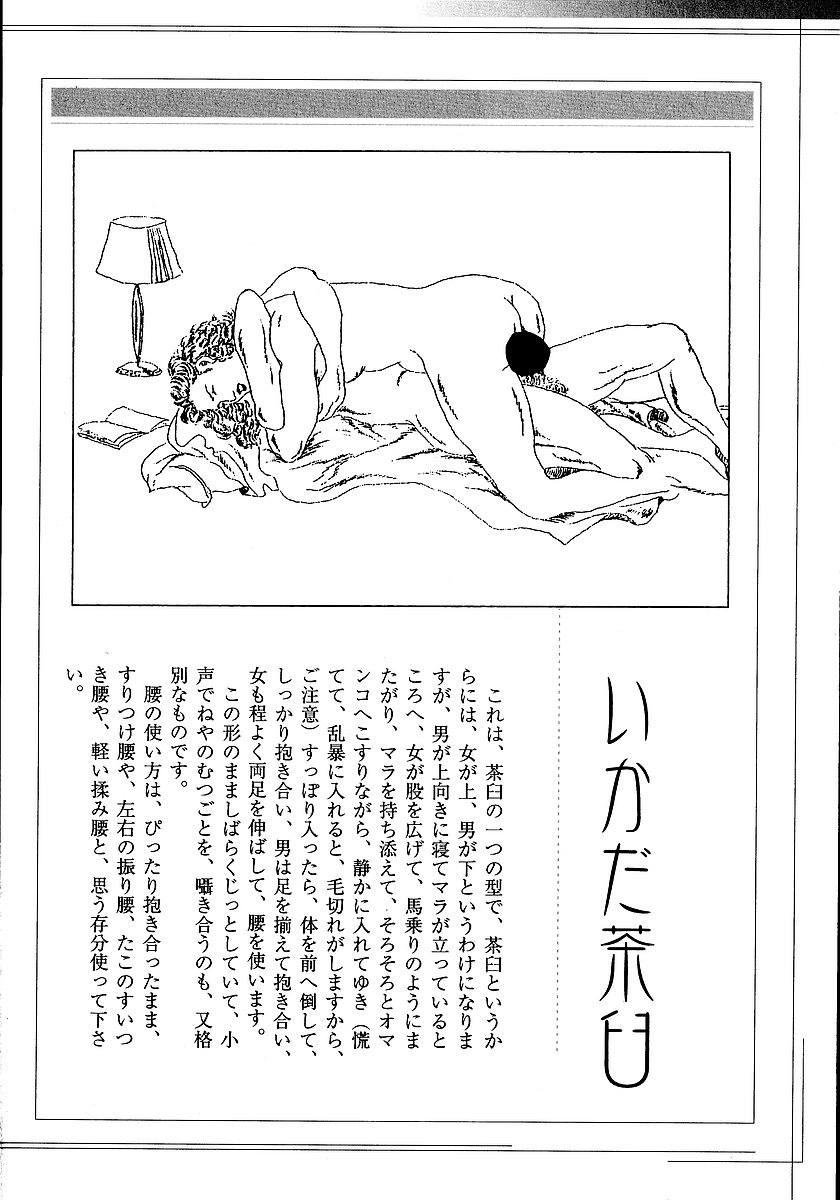[団鬼六, 長田要] 花と蛇 第二集