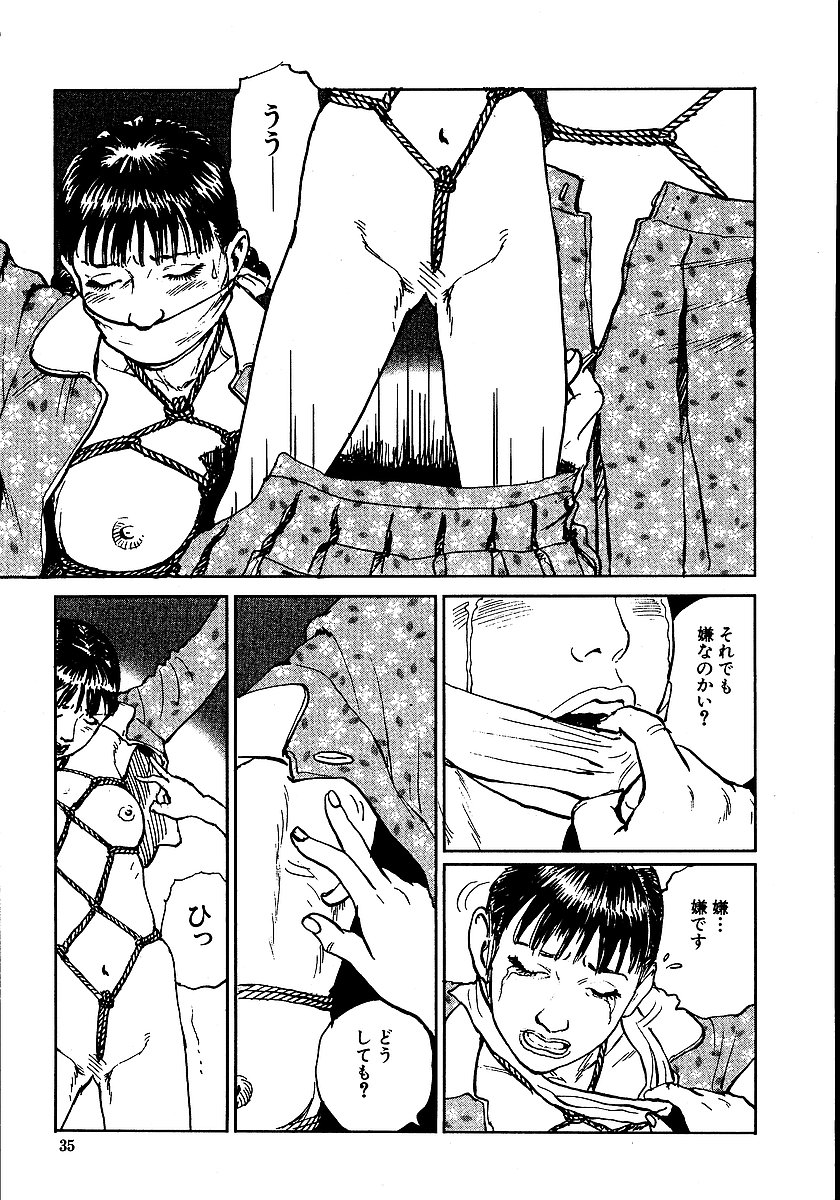 [団鬼六, 長田要] 花と蛇 第二集