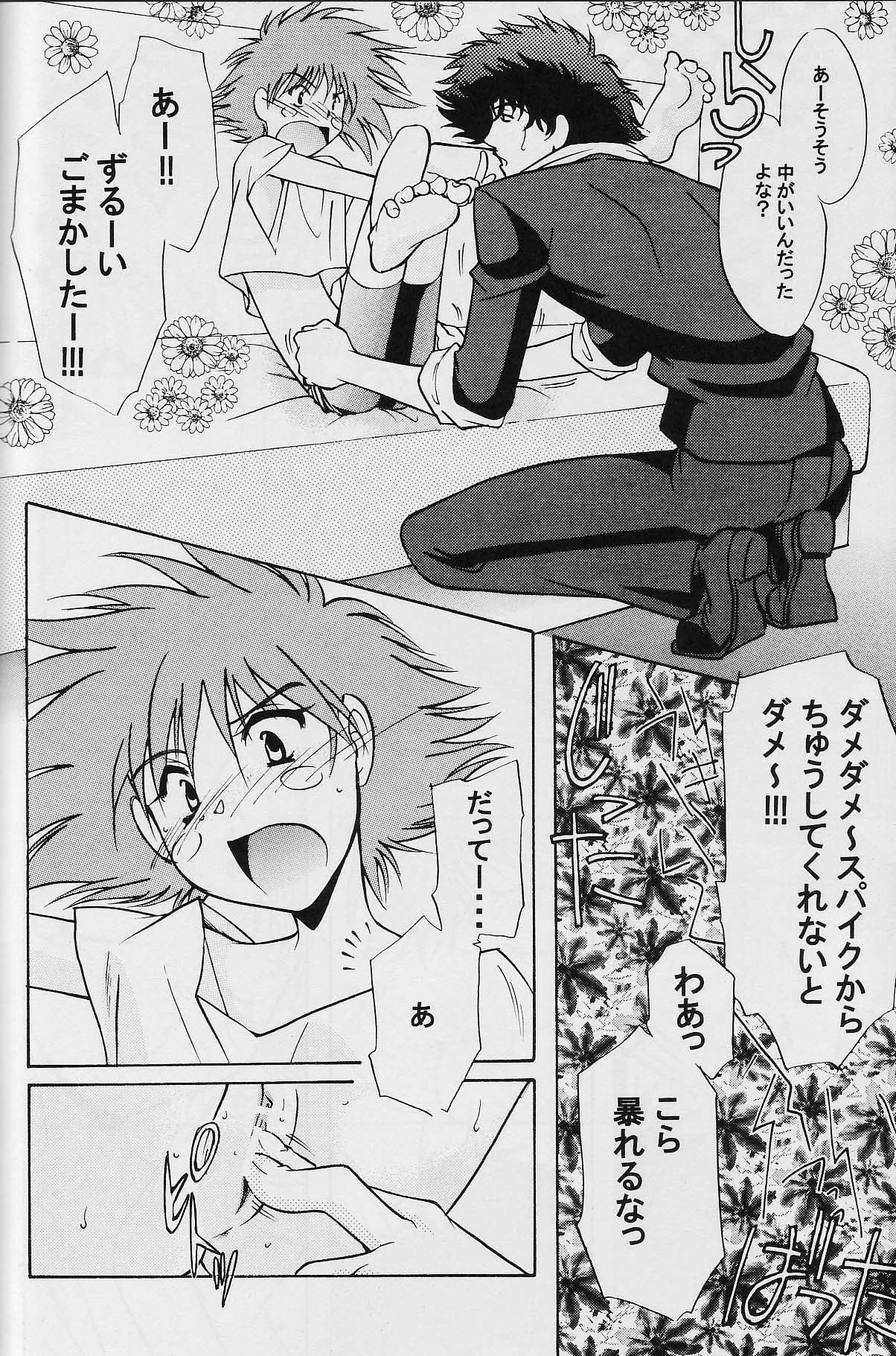 (C62) [CHANNEL★ROM (水尾ろむ)] Absurd Days (カウボーイビバップ)