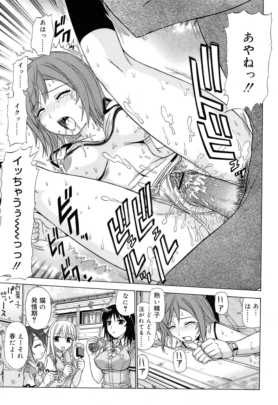 Comic RIN Vol. 22 2006年 10月