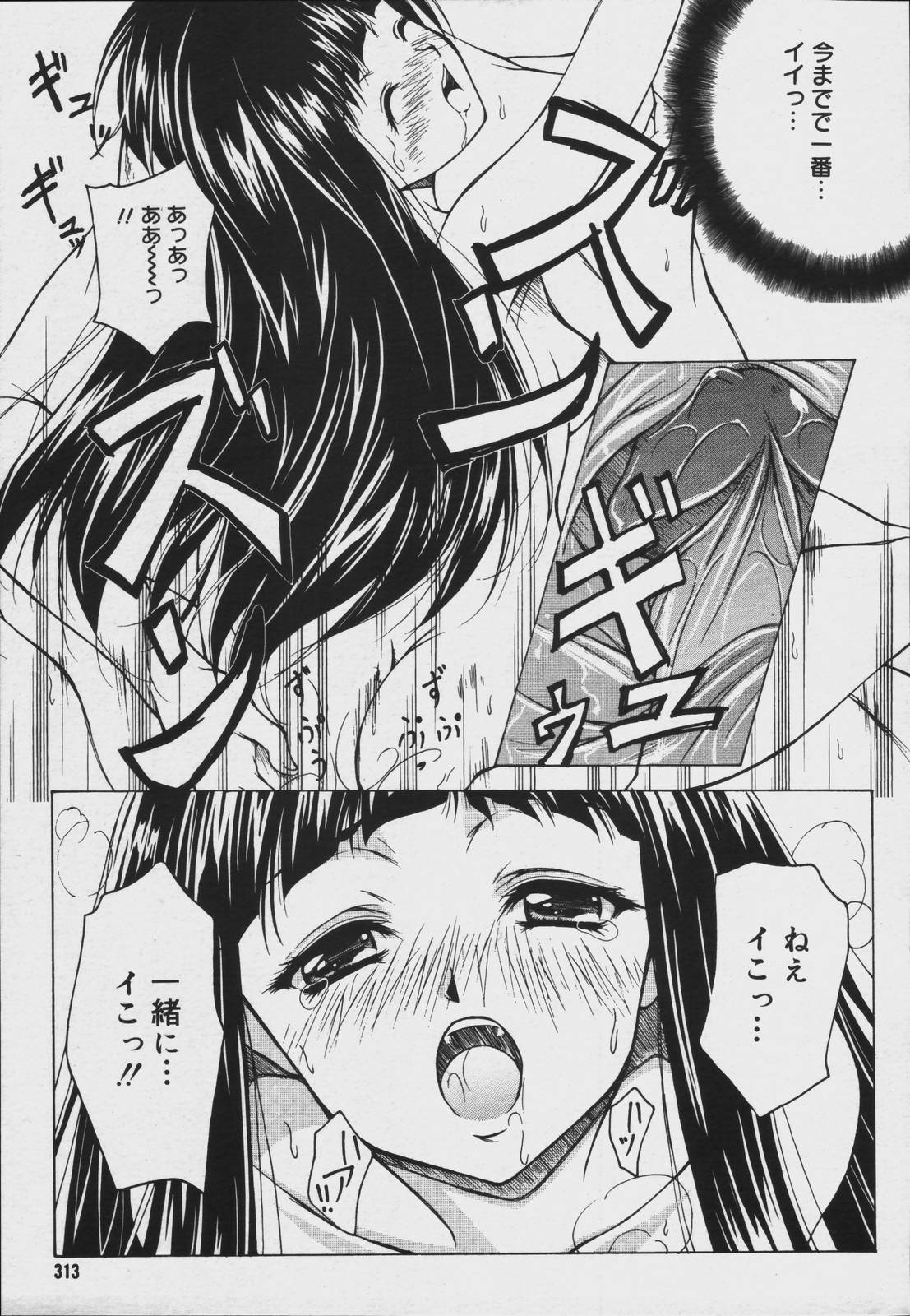 【アンソロジー】【2006-07-10】COMICMEGAPLUS Vol.34（2006-08）