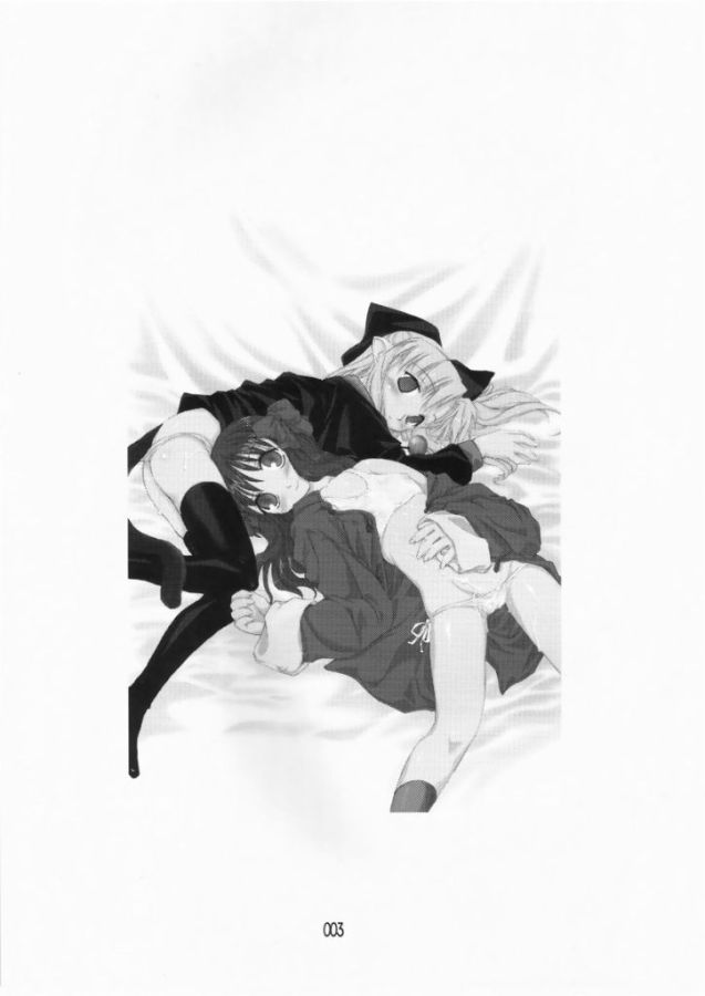 (C65) [しもやけ堂 (よろず)] ゆめねこ (月姫)