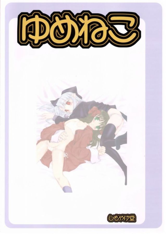 (C65) [しもやけ堂 (よろず)] ゆめねこ (月姫)