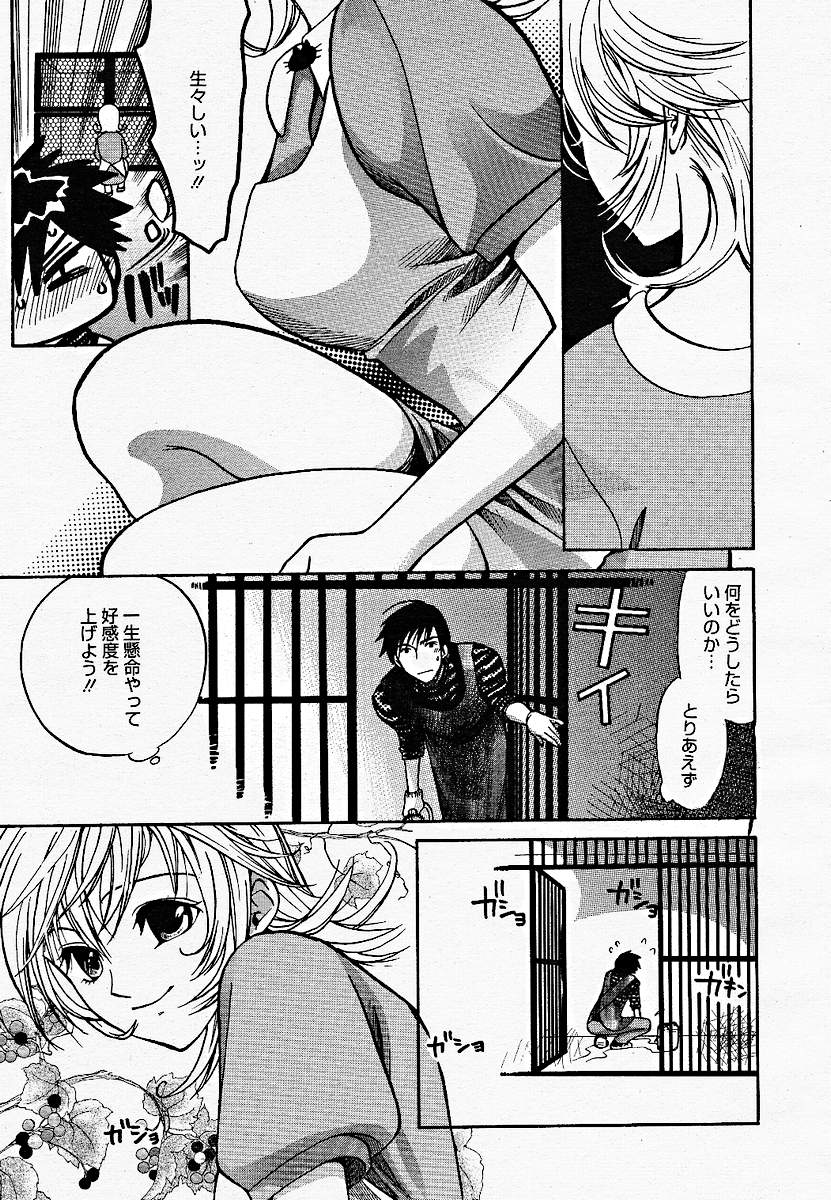 【アンソロジー】【2005-03-10】COMICMEGAPLUS Vol.18（2005-04）