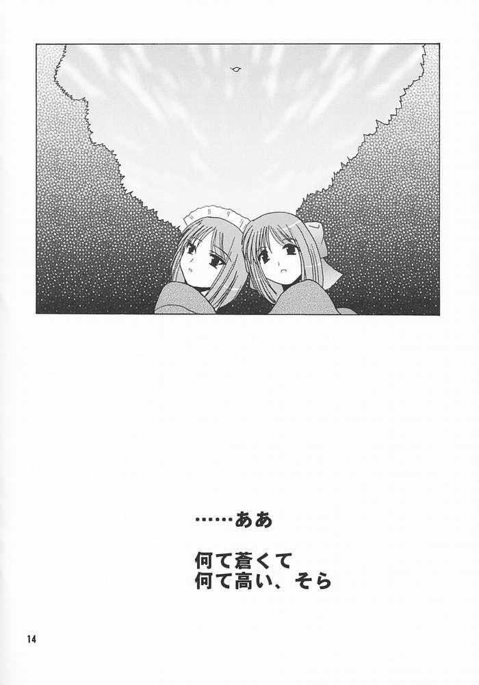 [長崎インター (奏亜希子)] ヒスコハボン (月姫)