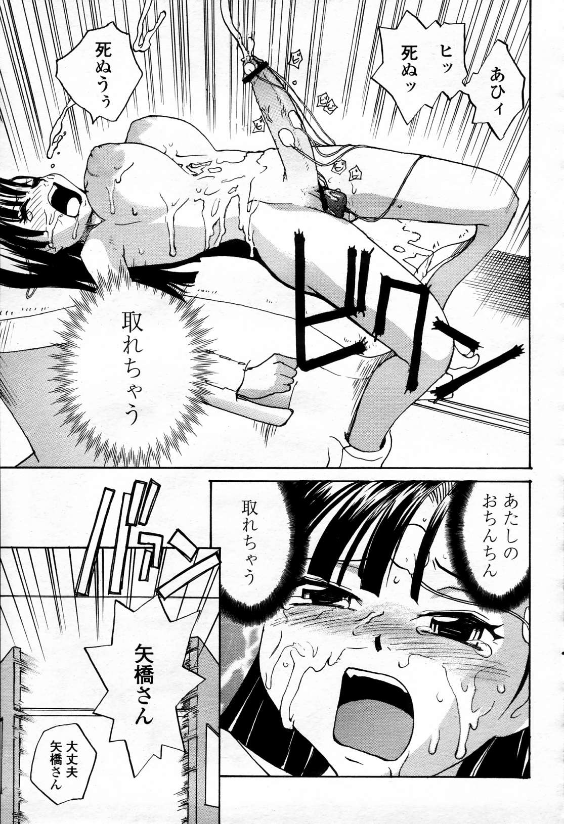 COMIC 桃姫 2006年4月号 Vol.66