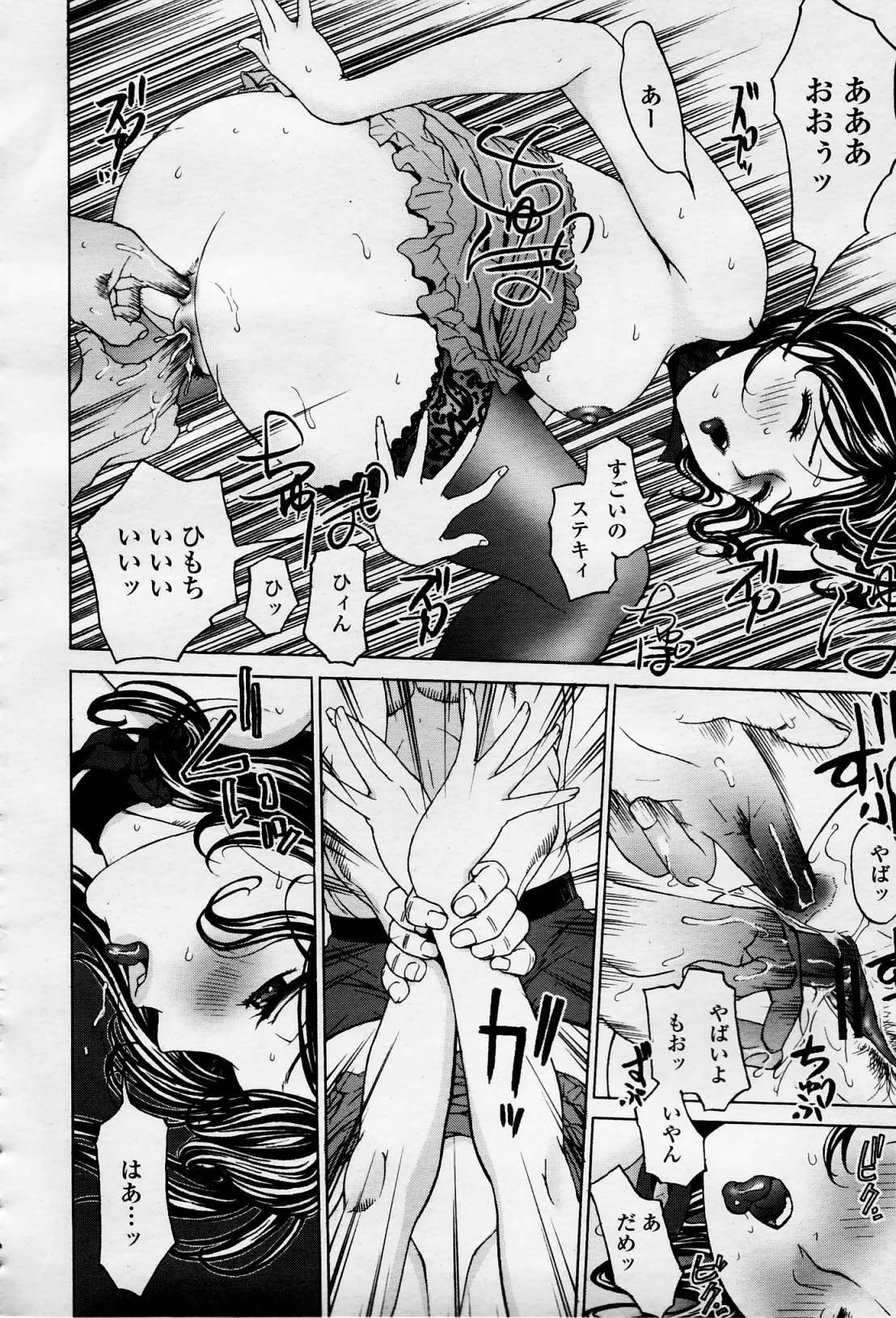 COMIC 桃姫 2006年4月号 Vol.66