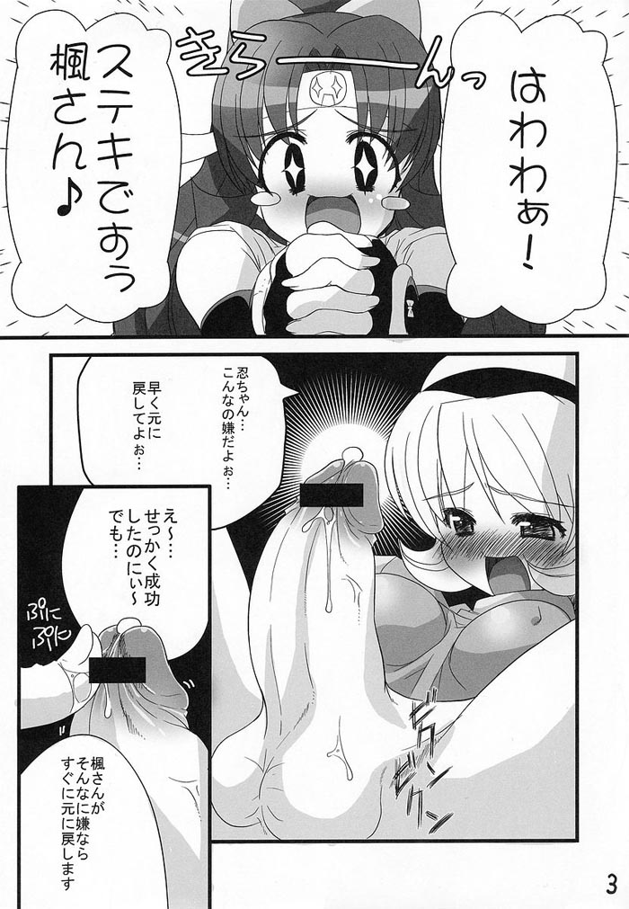 【Z-TABUKURONEKOHOUSE（ぎょにくん）】ニンポウランキキサワギ（2x2しのぶでん）