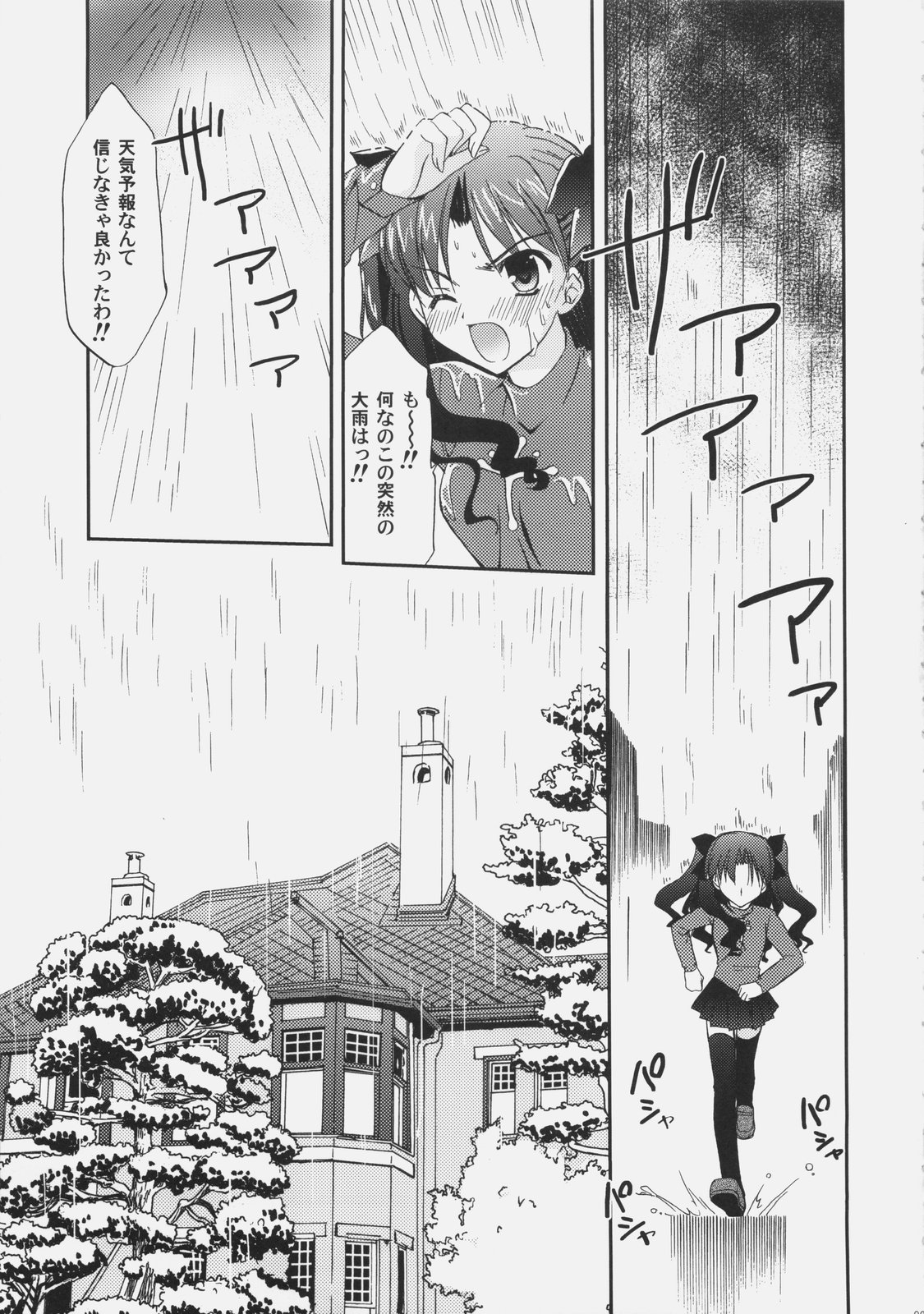(C70) [C・A・T (森崎くるみ)] RED (Fate/stay night)