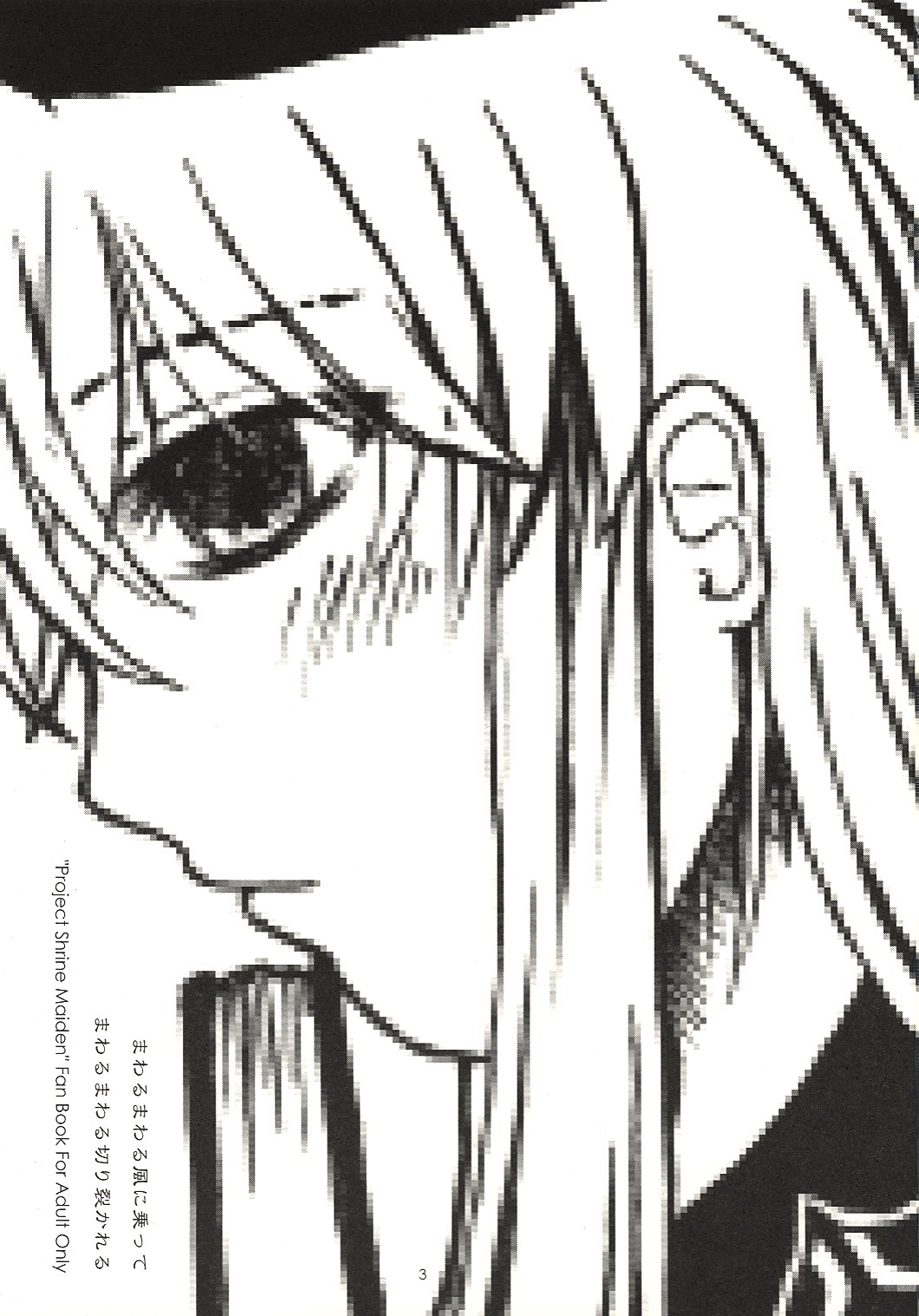 (サンクリ29) [CHAOS PANIC (結城明音)] まわるまわる風に乗って まわるまわる切り裂かれる ( 東方 Project)