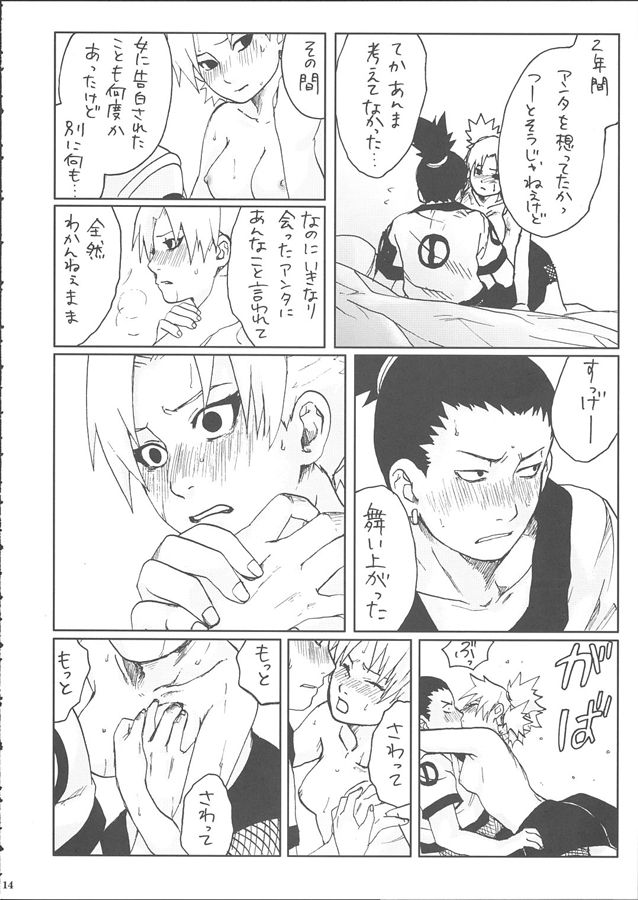 (サンクリ28) [PETS (リン、クロ、メイ)] +3 (ナルト)