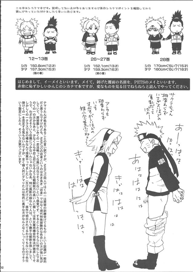 (サンクリ28) [PETS (リン、クロ、メイ)] +3 (ナルト)