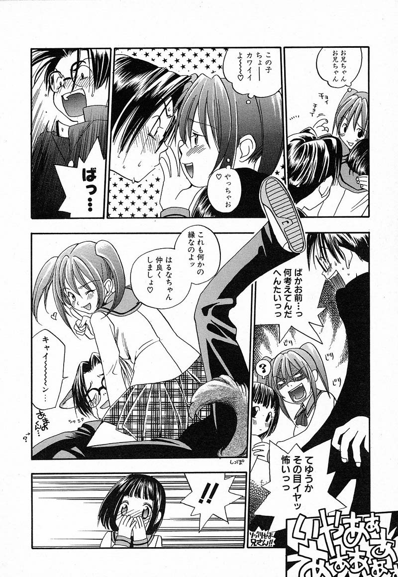 [米倉けんご] 私立星之端学園！？恋愛専科