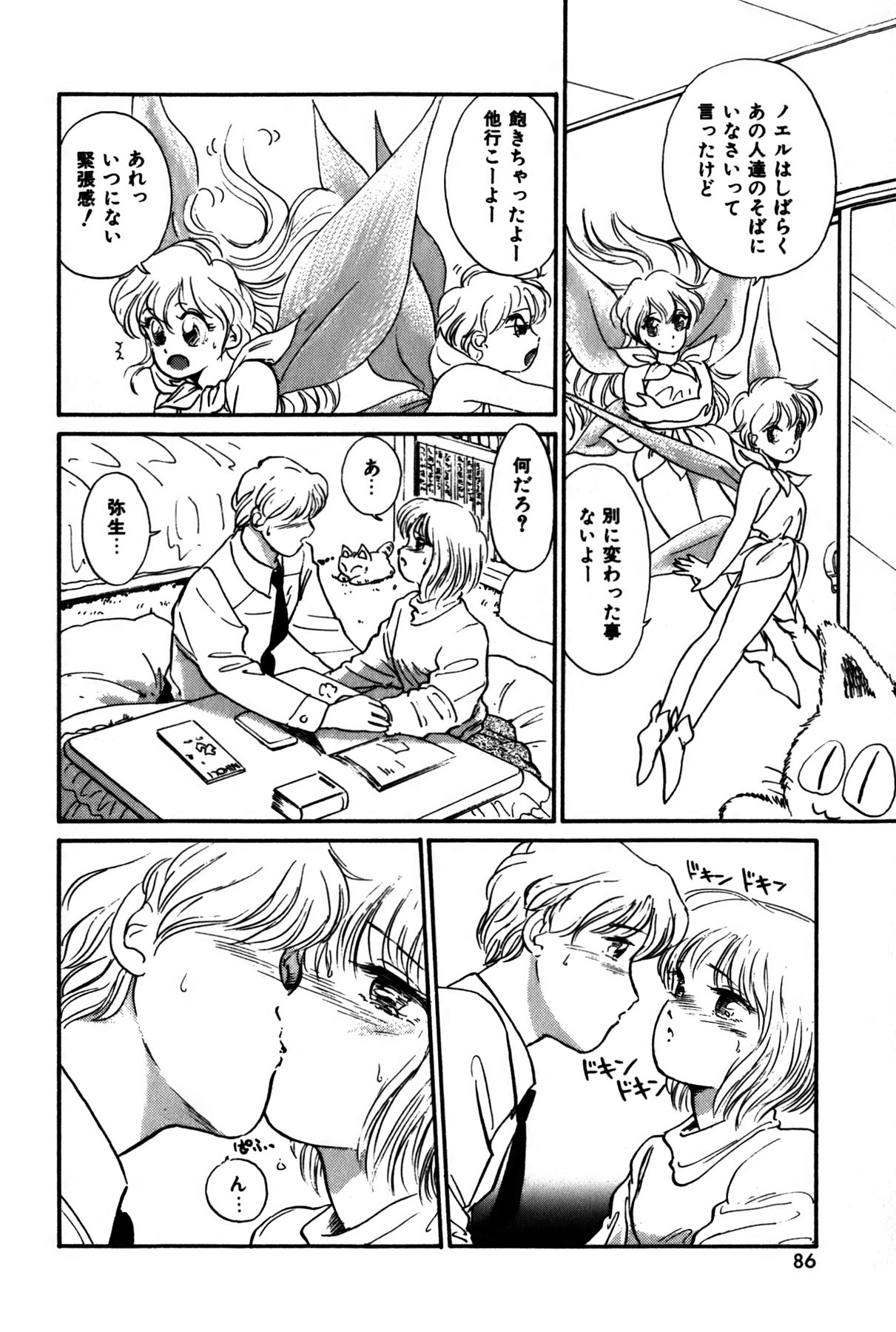 [法田恵] ラズベリー＆ストロベリー