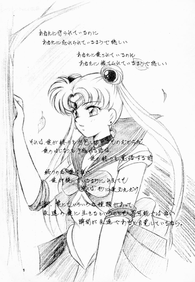 (Cレヴォ13) [姫倶楽部 (よろず)] 姫倶楽部7 (美少女戦士セーラームーン)