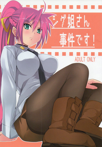 (C75) [千変万化式 (DATE)] シグ姐さん事件です! (魔法少女リリカルなのは)