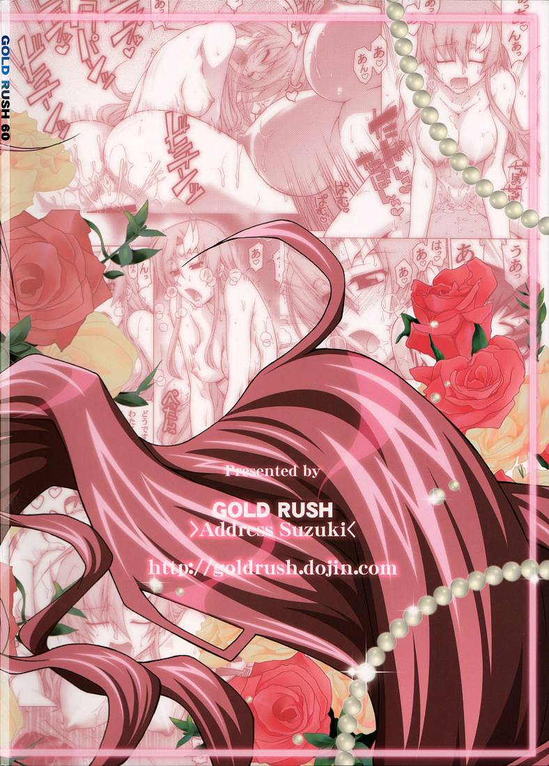 (C74) [GOLD RUSH (鈴木あどれす)] A Diva of Healing V (機動戦士ガンダムSEED DESTINY) [中国翻訳]