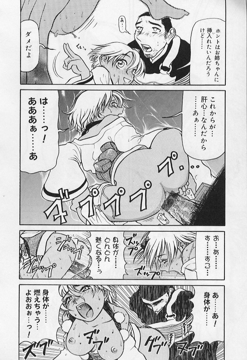 [羽田としのり (宗我部としのり)] VERY SWEET PORTION