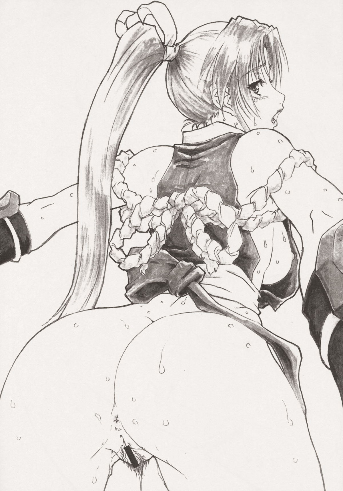 (C77) (同人誌) [大張道場 (大張正己)] 超乳神 (餓狼伝説)
