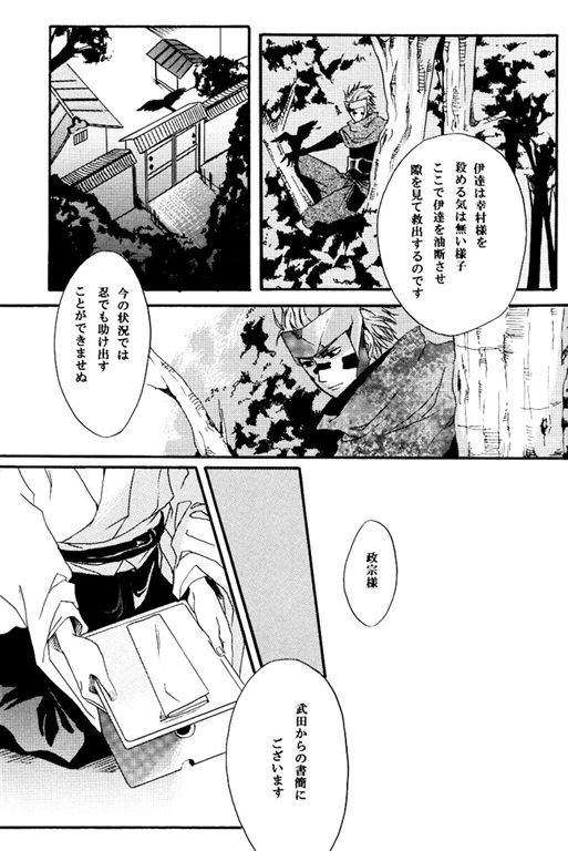 [BRONZE EIT (時尾カズイ)] 迷途 (戦国BASARA)