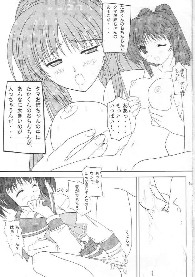 (C66) [怪楽集団 (かとうかかし)] 春霞 (トゥハート2)