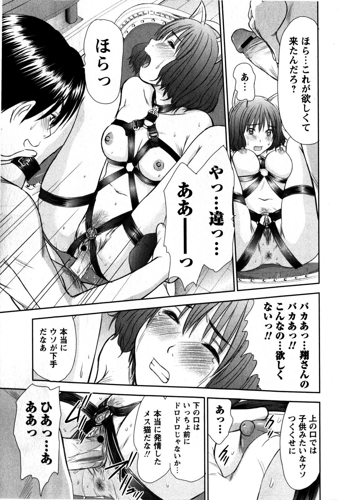 コミック・マショウ 2009年5月号