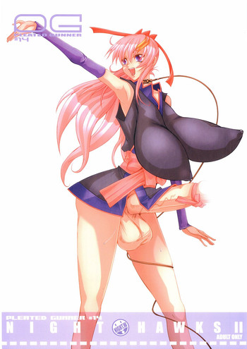 (C69) [HGH (HG茶川)] Pleated Gunner #14 - Night Hawks 2 (機動戦士ガンダムSEED DESTINY)