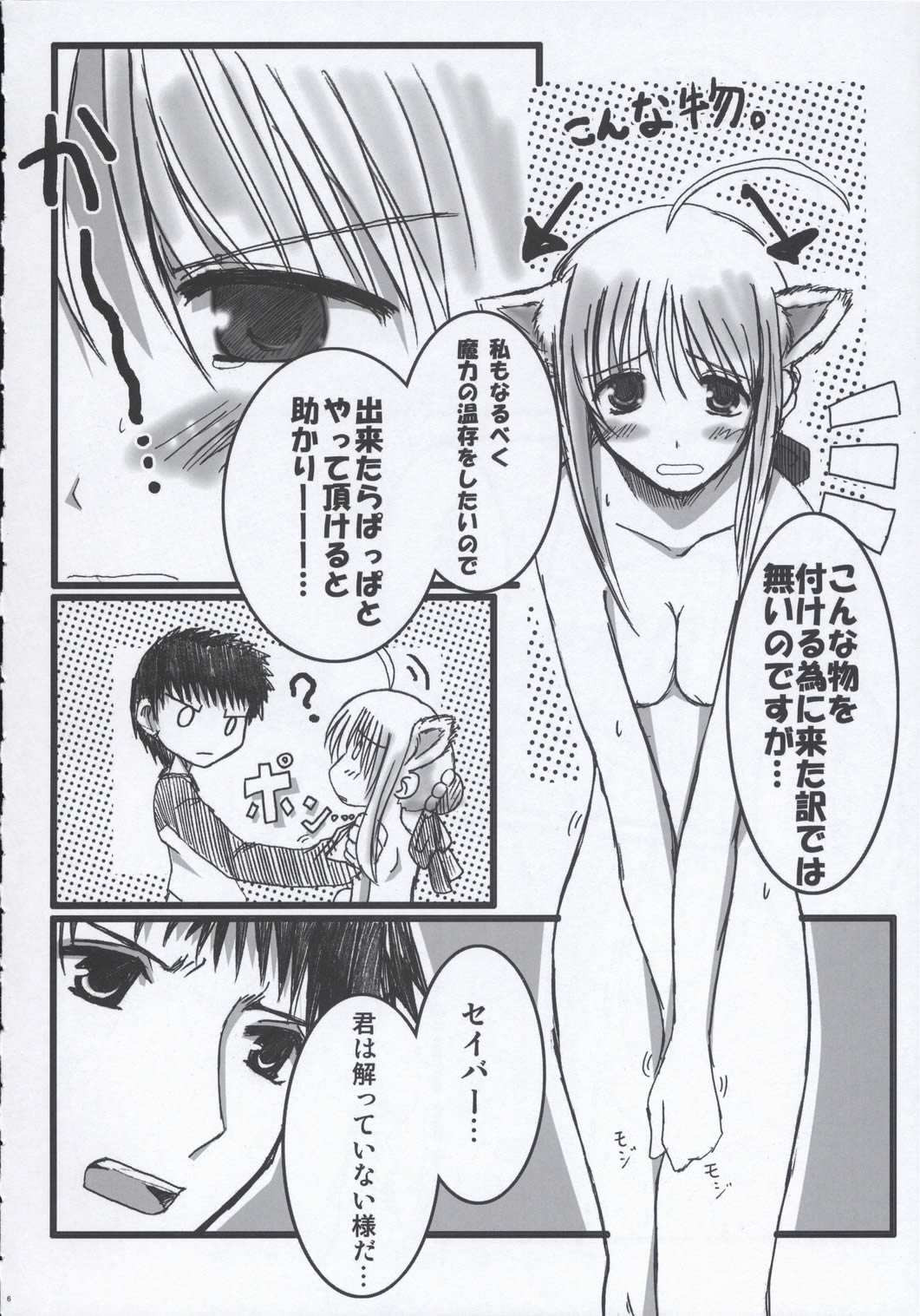 (サンクリ24) [TAROTS (澤野明)] THE MOON (Fate/stay night)