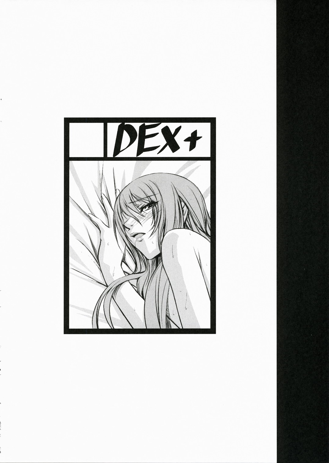 (C72) [DEX+ (中寺明良)] P3lovers (ペルソナ3)