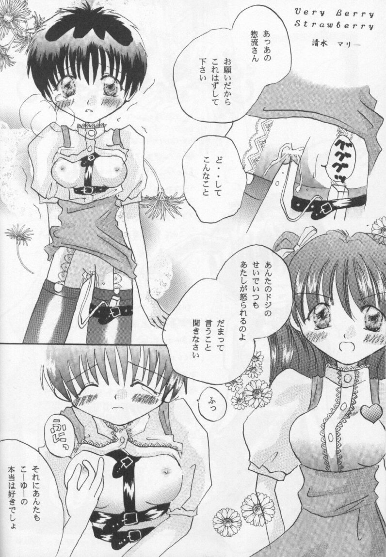 (C53) [Fairy Tale House (フェニキア雅子、瀬波りお、清水マリー)] FRESH STRAWBERRY (アンナミラーズ、新世紀エヴァンゲリオン)